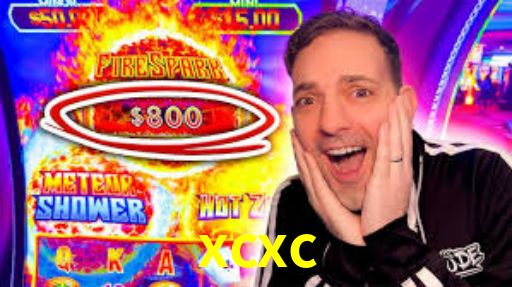 Interface Premium xcxc